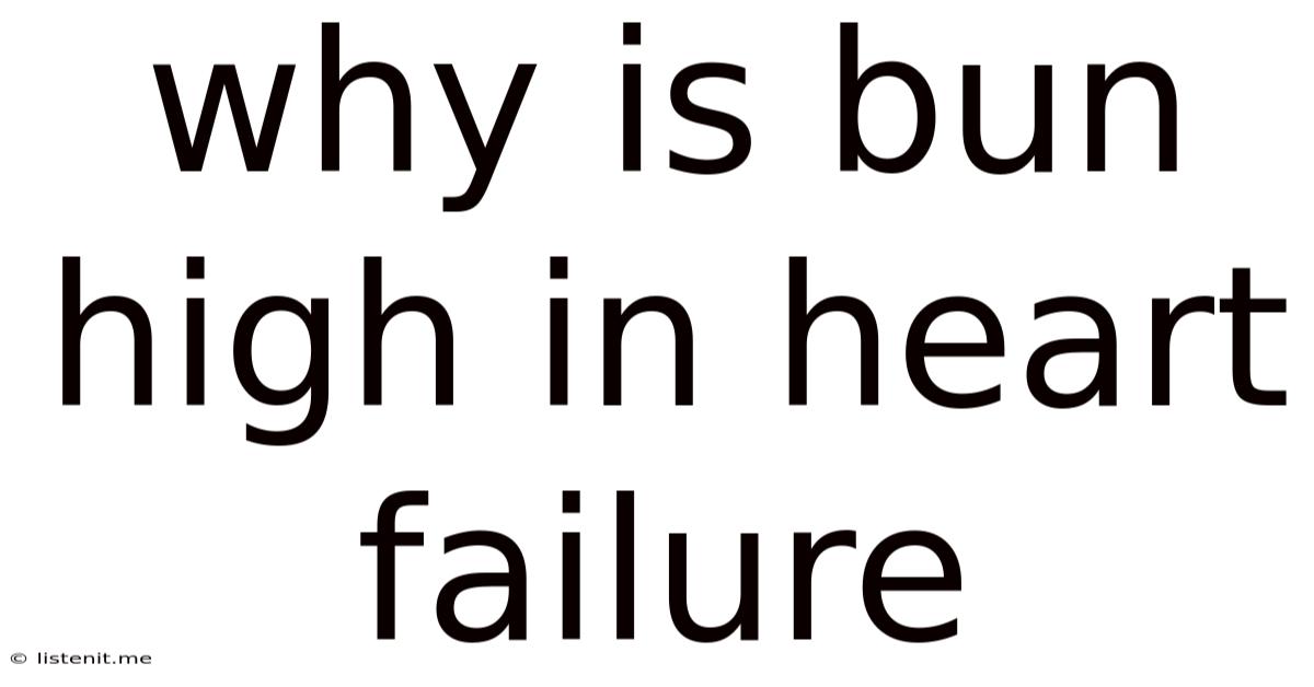 Why Is Bun High In Heart Failure