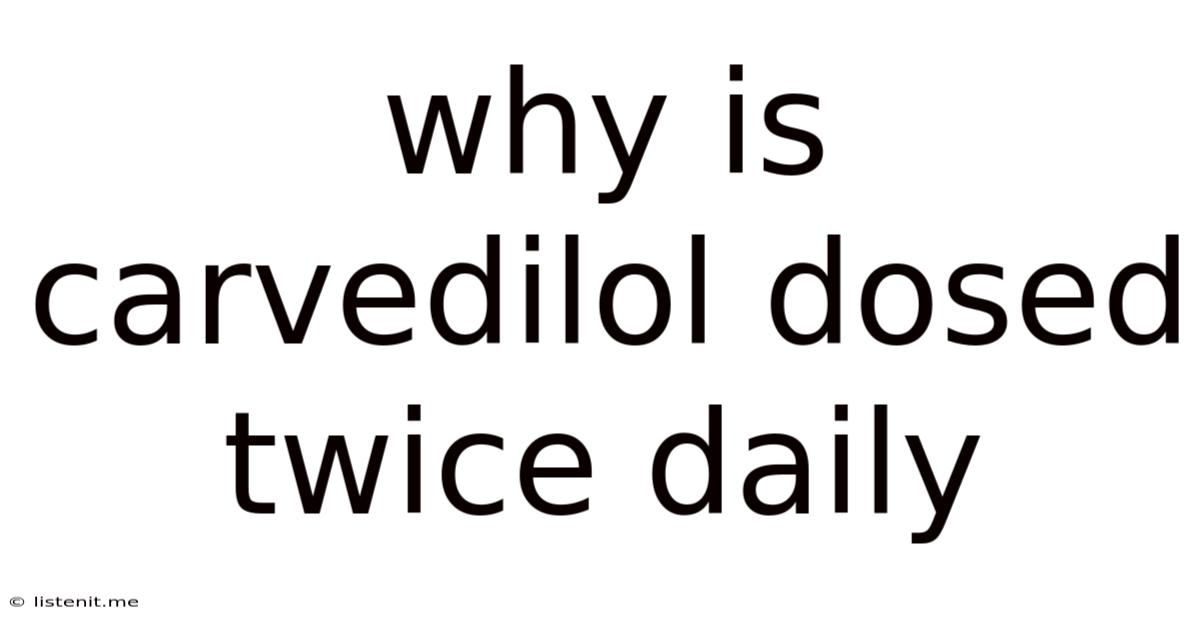 Why Is Carvedilol Dosed Twice Daily