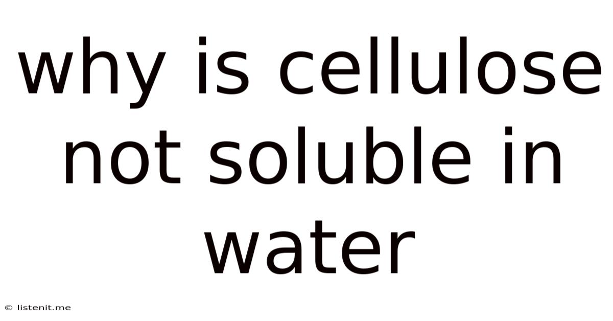 Why Is Cellulose Not Soluble In Water