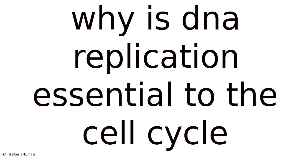 Why Is Dna Replication Essential To The Cell Cycle