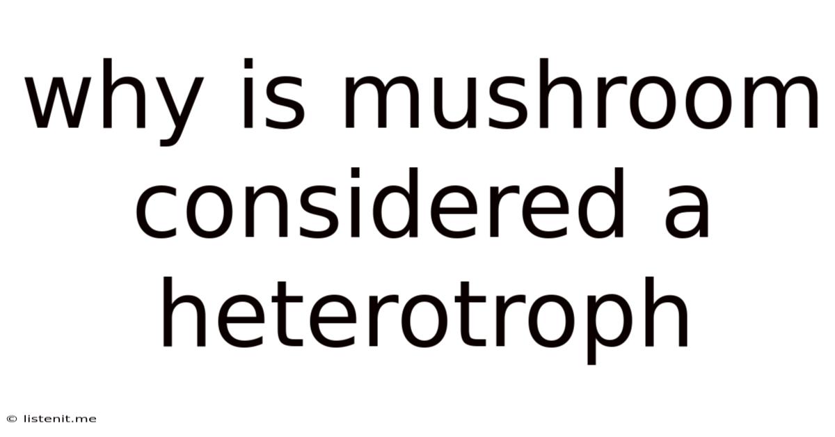 Why Is Mushroom Considered A Heterotroph