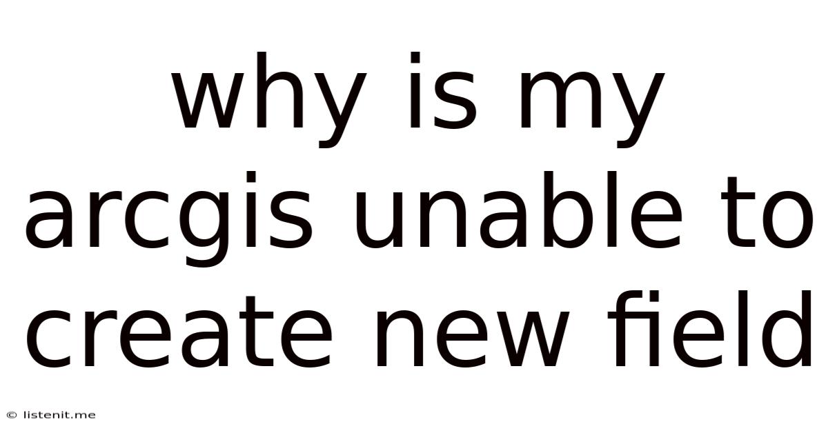 Why Is My Arcgis Unable To Create New Field