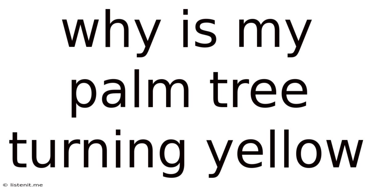 Why Is My Palm Tree Turning Yellow