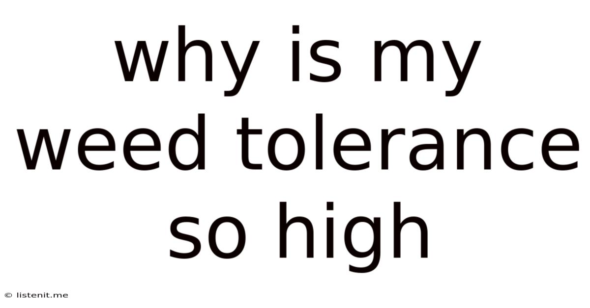 Why Is My Weed Tolerance So High