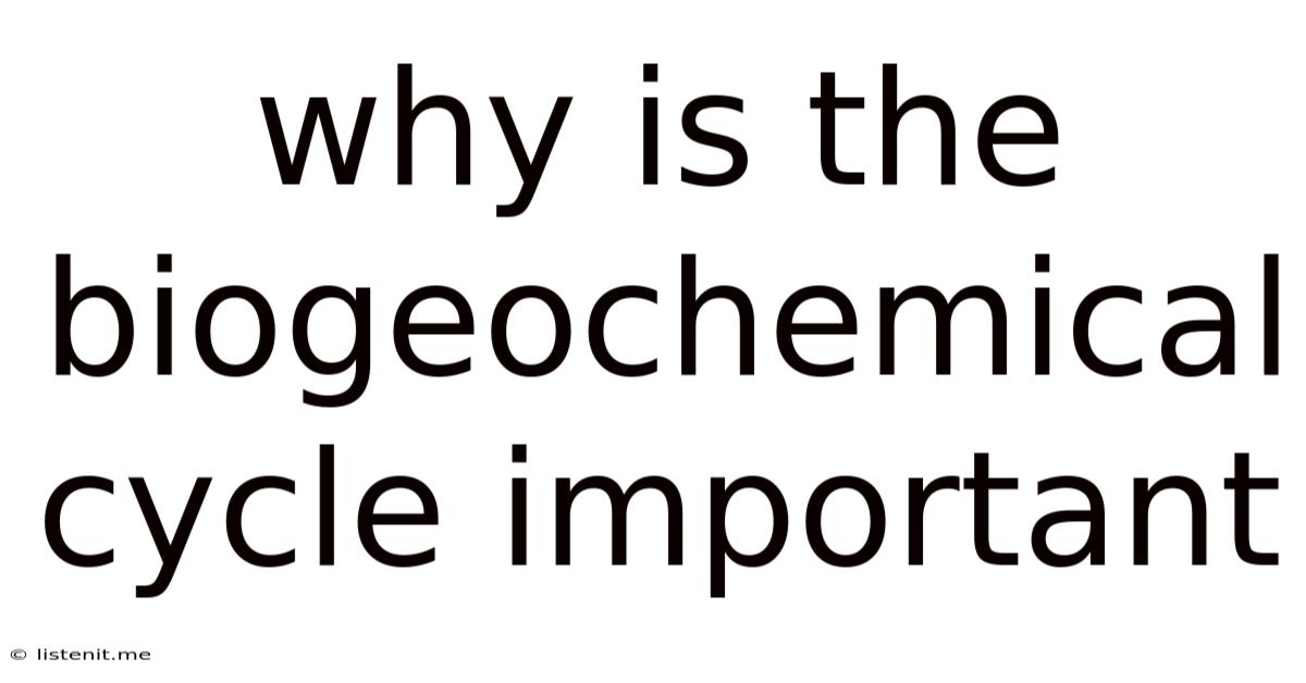 Why Is The Biogeochemical Cycle Important