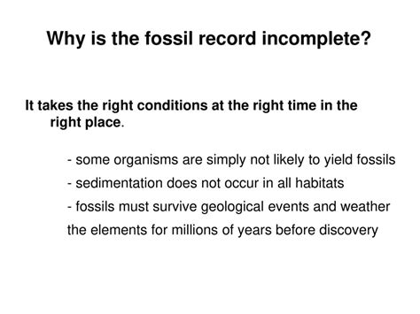 Why Is The Fossil Record Incomplete