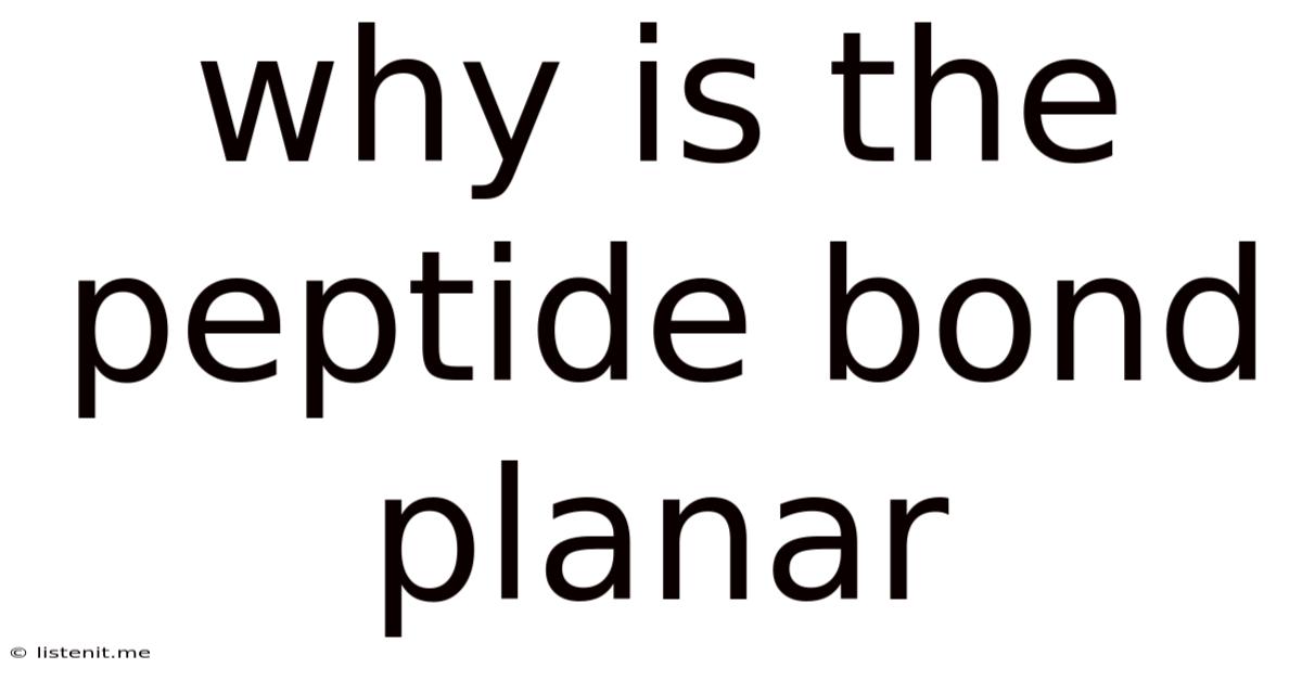 Why Is The Peptide Bond Planar