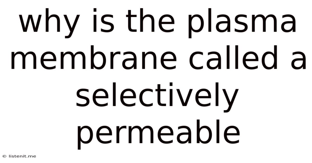 Why Is The Plasma Membrane Called A Selectively Permeable