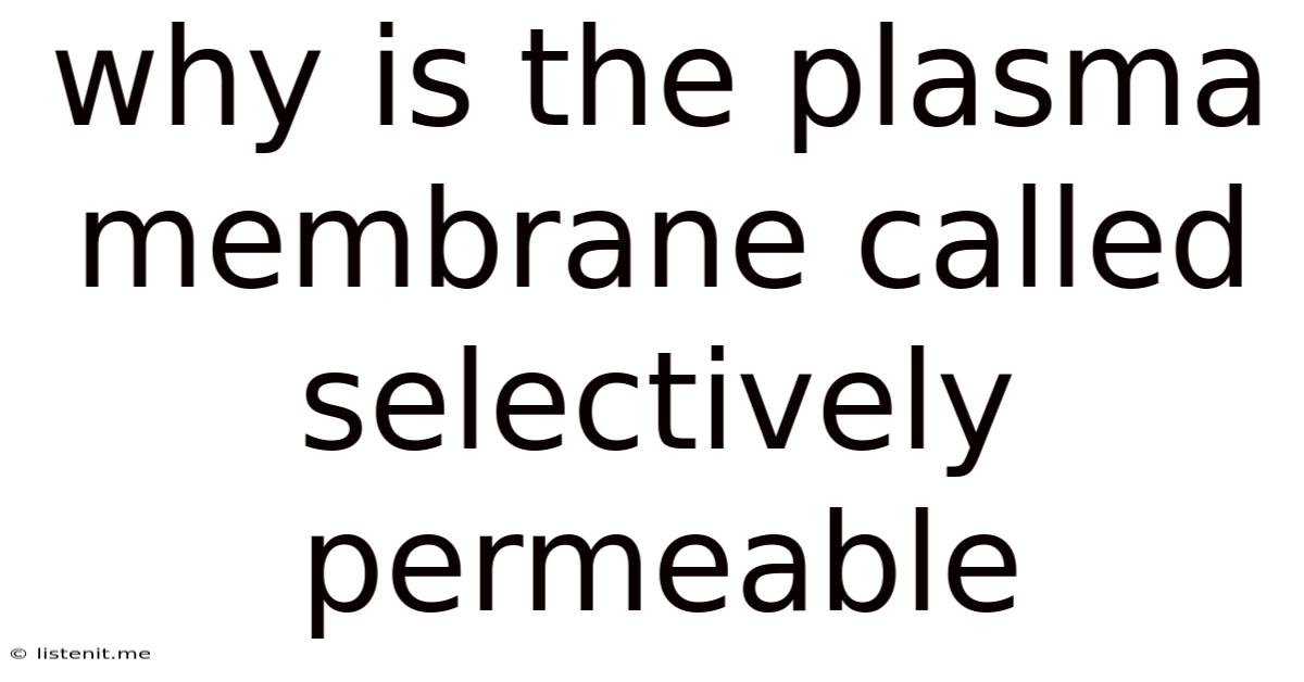 Why Is The Plasma Membrane Called Selectively Permeable