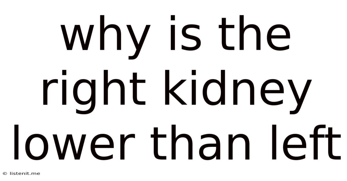 Why Is The Right Kidney Lower Than Left