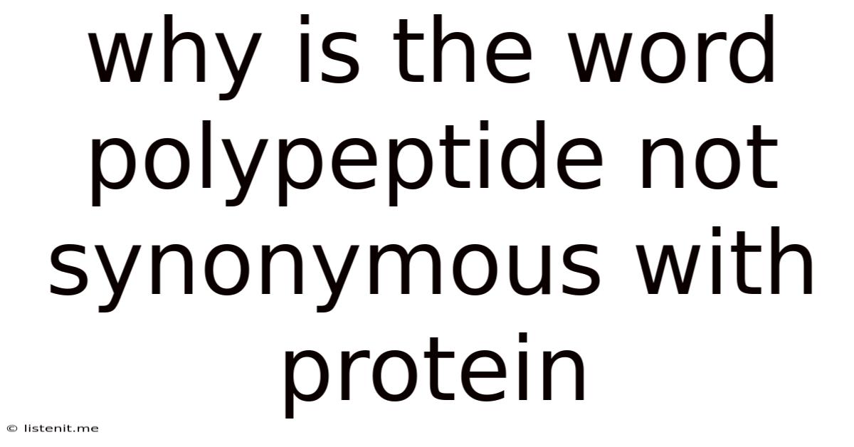 Why Is The Word Polypeptide Not Synonymous With Protein