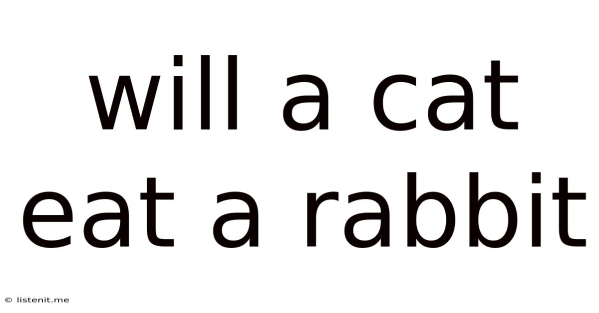 Will A Cat Eat A Rabbit