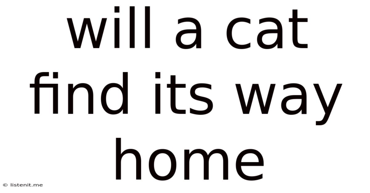 Will A Cat Find Its Way Home
