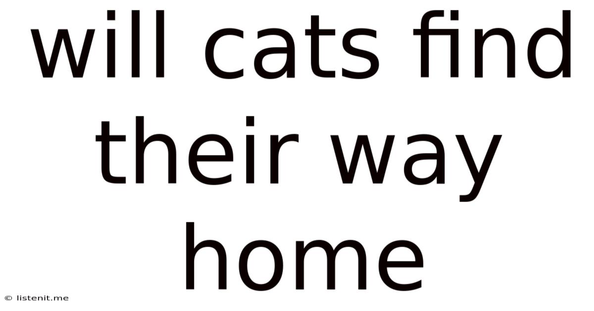 Will Cats Find Their Way Home