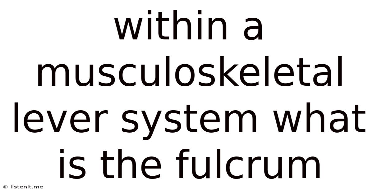 Within A Musculoskeletal Lever System What Is The Fulcrum