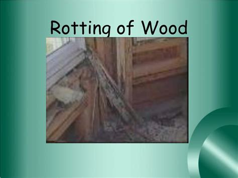 Wood Rotting Physical Or Chemical Change