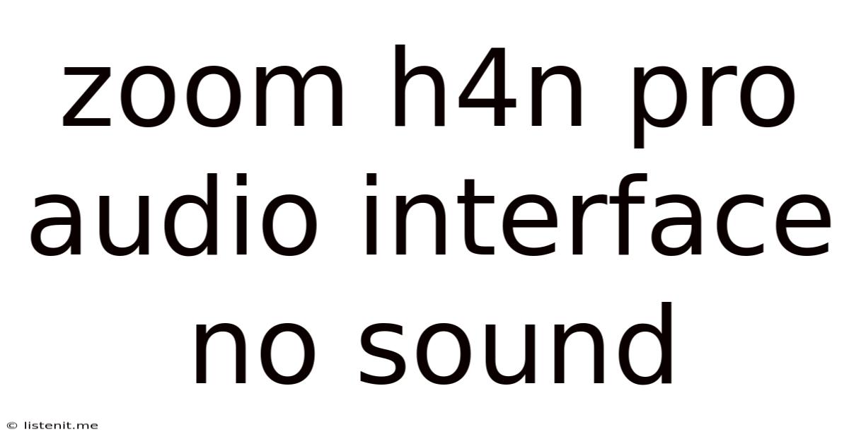 Zoom H4n Pro Audio Interface No Sound